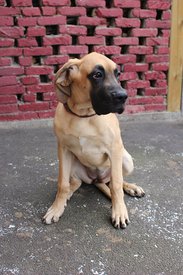 IMG_156711.jpg (101.34 КБ, Просмотров: 1946) IMG_156711.jpg