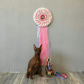 Марго и подарки.jpg (204.53 КБ, Просмотров: 6250) Марго и подарки.jpg