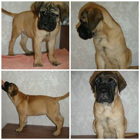 2018-01-07 00.31.05.jpg (648.17 КБ, Просмотров: 2103) 2018-01-07 00.31.05.jpg