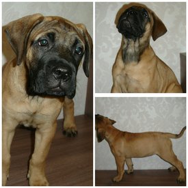 2018-01-07 00.31.36.jpg (667.51 КБ, Просмотров: 2094) 2018-01-07 00.31.36.jpg