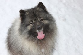 IMG-13842711cfc8171cd0e6e1e8f5d9d87c-V.jpg (132.3 КБ, Просмотров: 1992) IMG-13842711cfc8171cd0e6e1e8f5d9d87c-V.jpg