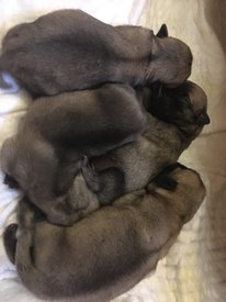 tQh1Yu5fBF8.jpg (111.47 КБ, Просмотров: 3558) tQh1Yu5fBF8.jpg