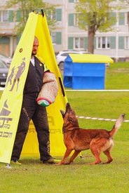 jcY84q5ty00.jpg (166.16 КБ, Просмотров: 5788) jcY84q5ty00.jpg