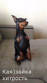 з хитрость.jpg (13.17 КБ, Просмотров: 6571) з хитрость.jpg