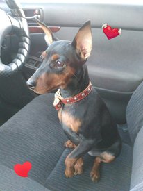 дора и серд.jpg (120.09 КБ, Просмотров: 6555) дора и серд.jpg