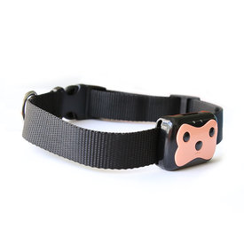 1664237778-1.jpg (165.07 КБ, Просмотров: 3311) 1664237778-1.jpg