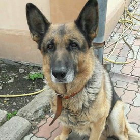 image.jpg (130.03 КБ, Просмотров: 2648) image.jpg