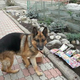 image (1).jpg (141.33 КБ, Просмотров: 2648) image (1).jpg