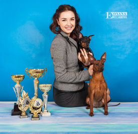 WEB Цвергпинчер 01.2018-32.jpg (801.32 КБ, Просмотров: 6490) WEB Цвергпинчер 01.2018-32.jpg