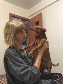 рол зевает.jpg (139.14 КБ, Просмотров: 6026) рол зевает.jpg