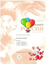 22.jpg (129.05 КБ, Просмотров: 6480) 22.jpg