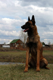 image-0-02-05-fc739a1e27d5b4c7bcaa113ee84460b7bd856c7963eed120e41ad98db0127ea4-V.jpg (98.75 КБ, Просмотров: 4926) image-0-02-05-fc739a1e27d5b4c7bcaa113ee84460b7bd856c7963eed120e41ad98db0127ea4-V.jpg