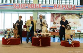 юниоры.jpg (162.54 КБ, Просмотров: 5338) юниоры.jpg