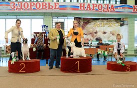 3 группа.jpg (178.16 КБ, Просмотров: 5338) 3 группа.jpg