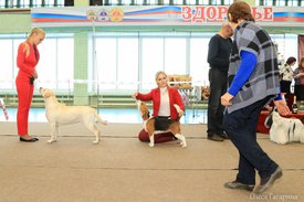 3.jpg (147.73 КБ, Просмотров: 4718) 3.jpg