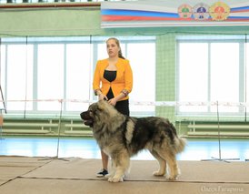 10.jpg (127.84 КБ, Просмотров: 4718) 10.jpg