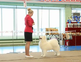 11.jpg (144.51 КБ, Просмотров: 5334) 11.jpg