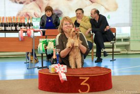 12.jpg (137.45 КБ, Просмотров: 5334) 12.jpg