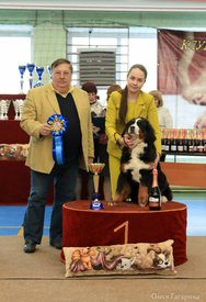 16.jpg (78.92 КБ, Просмотров: 5334) 16.jpg