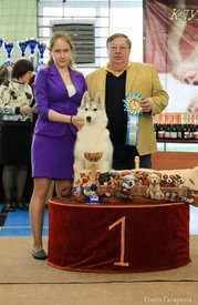 19.jpg (73.9 КБ, Просмотров: 5334) 19.jpg