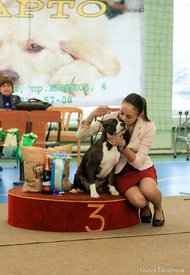 20.jpg (67.77 КБ, Просмотров: 4730) 20.jpg