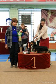 27.jpg (75.75 КБ, Просмотров: 5334) 27.jpg