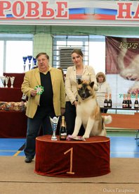 28.jpg (80.1 КБ, Просмотров: 4718) 28.jpg