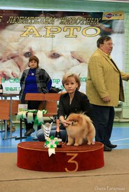 29.jpg (81.42 КБ, Просмотров: 5334) 29.jpg