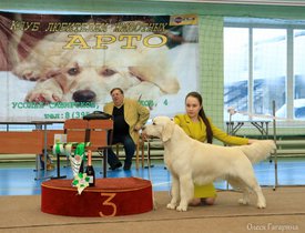 32.jpg (164.7 КБ, Просмотров: 5334) 32.jpg