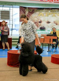 35.jpg (91.94 КБ, Просмотров: 4718) 35.jpg