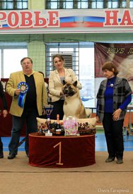 36.jpg (84.57 КБ, Просмотров: 4718) 36.jpg