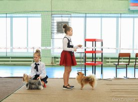 37.jpg (154.69 КБ, Просмотров: 5334) 37.jpg