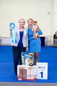 28660299_1703063446426500_2051112923838457068_n.jpg (60.69 КБ, Просмотров: 17121) 28660299_1703063446426500_2051112923838457068_n.jpg