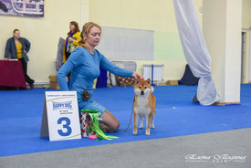 AFT_9368.jpg (968.88 КБ, Просмотров: 16217) AFT_9368.jpg