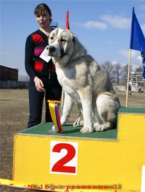 b383ab05d57c.jpg (61.05 КБ, Просмотров: 2370) b383ab05d57c.jpg
