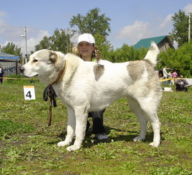 Байгуш мать Шейха.jpg (57.75 КБ, Просмотров: 2283) Байгуш мать Шейха.jpg
