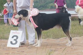 202KDLc.jpg (67.36 КБ, Просмотров: 2285) 202KDLc.jpg