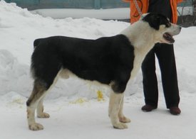 Мэлл.JPG (148.11 КБ, Просмотров: 2367) Мэлл.JPG