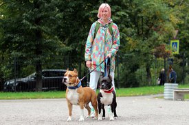 negPDyWW7tI.jpg (242.61 КБ, Просмотров: 14343) negPDyWW7tI.jpg