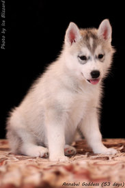 0_e619e_90b377b4_XL.jpg (94.53 КБ, Просмотров: 10447) 0_e619e_90b377b4_XL.jpg