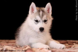 0_e6194_ffdddf5a_XL.jpg (79.43 КБ, Просмотров: 10440) 0_e6194_ffdddf5a_XL.jpg