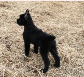 IMG_20180423_111339.jpg (242.73 КБ, Просмотров: 2256) IMG_20180423_111339.jpg