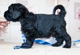 с.jpg (94.43 КБ, Просмотров: 1950) с.jpg