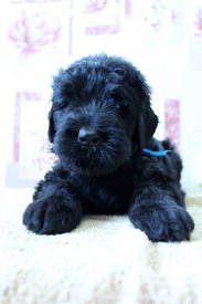 ссс.jpg (51.31 КБ, Просмотров: 1953) ссс.jpg