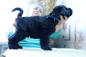 сс.jpg (126.23 КБ, Просмотров: 1950) сс.jpg