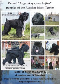 31172115_1959289754095119_4068298455628382208_n.jpg (139.05 КБ, Просмотров: 1950) 31172115_1959289754095119_4068298455628382208_n.jpg