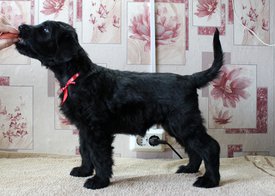 кк.jpg (278.35 КБ, Просмотров: 1952) кк.jpg