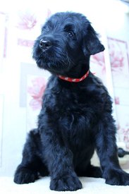 к.jpg (54.89 КБ, Просмотров: 1952) к.jpg