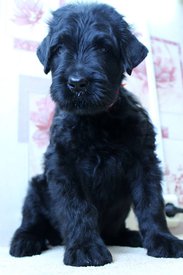 кккк.jpg (55.43 КБ, Просмотров: 1952) кккк.jpg