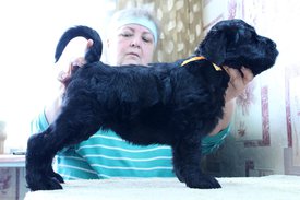 о.jpg (136.07 КБ, Просмотров: 1950) о.jpg